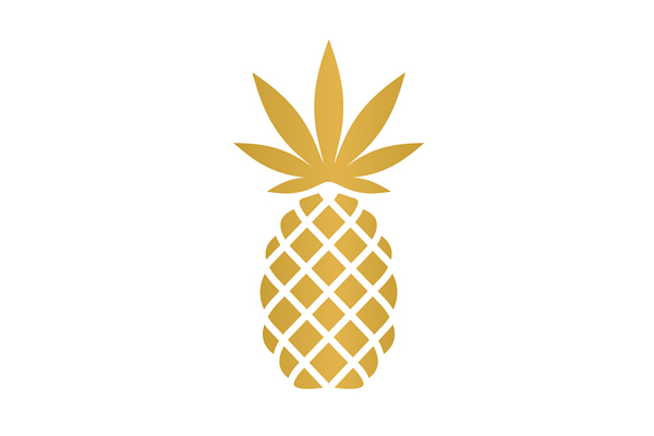 Pineapple Hero Coin Image